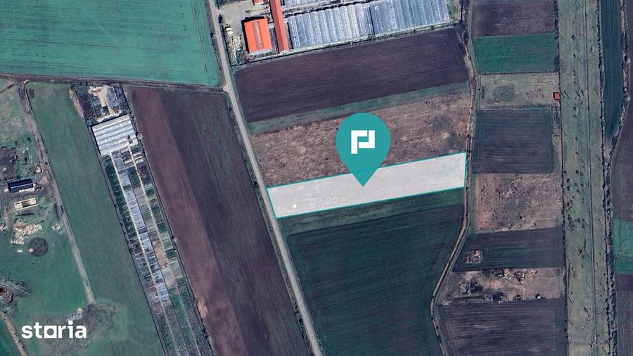 Teren arabil intravilan 10.333mp - Livada - 4