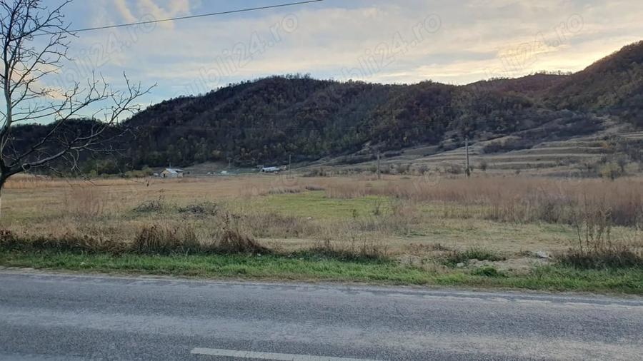 Teren de 10000 mp, în Cândești