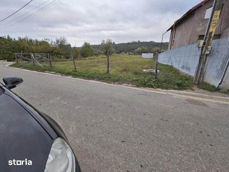 Teren de 1725 mp, în Ciurea