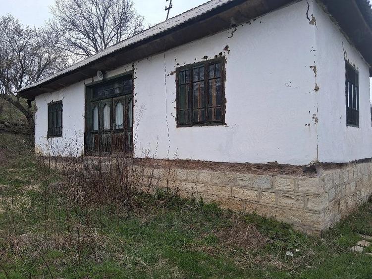 Casă cu Teren 4000 Mp în Năruja