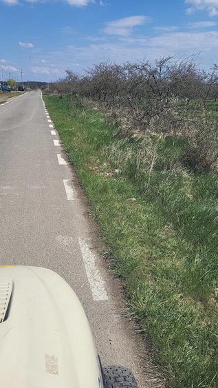 Teren de 1271 mp, în Șag
