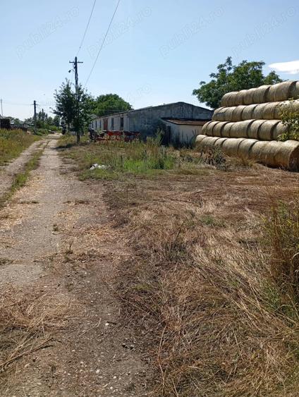 Teren de 63000 mp, în Halmeu