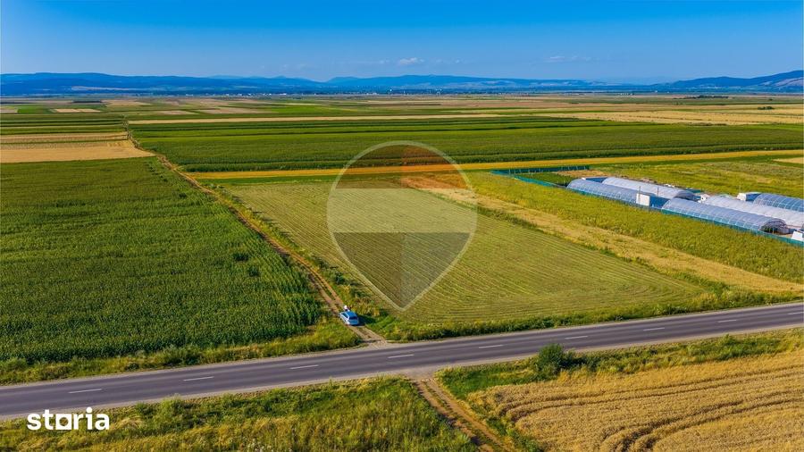 Teren de 7500 mp, în Tărlungeni