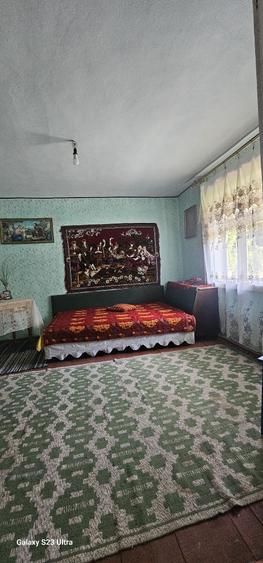 Casa de vanzare Ferastrau-Lesunt - 1