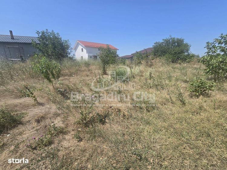 Teren de 545 mp, în Domnești