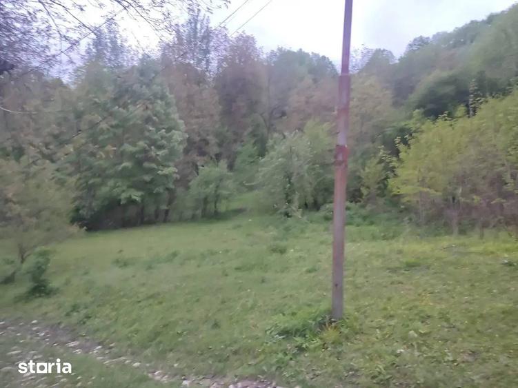 Teren de 1241 mp, în Provița de Sus