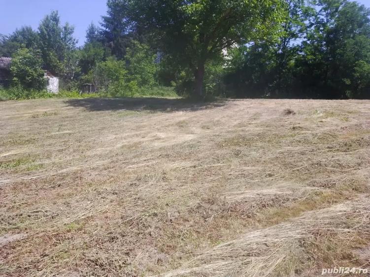 Teren de 4000 mp, în Copăceni