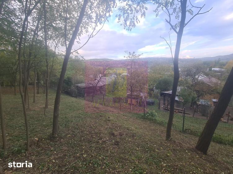 Casă cu 3 camere cu Teren 3410 Mp în Aluniș