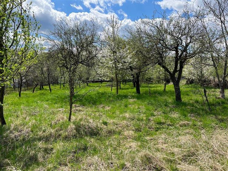 Teren intravilan de 4872 mp, în Antoceni