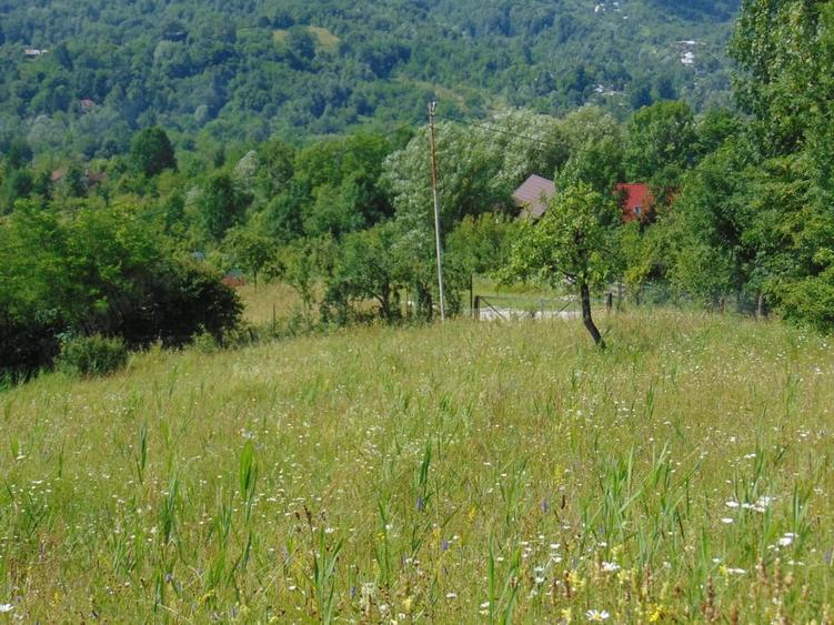 Teren de 2727 mp, în Provița de Jos