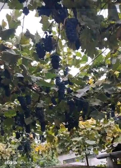 Casă cu 7 camere cu Teren 2500 Mp în Brateiu