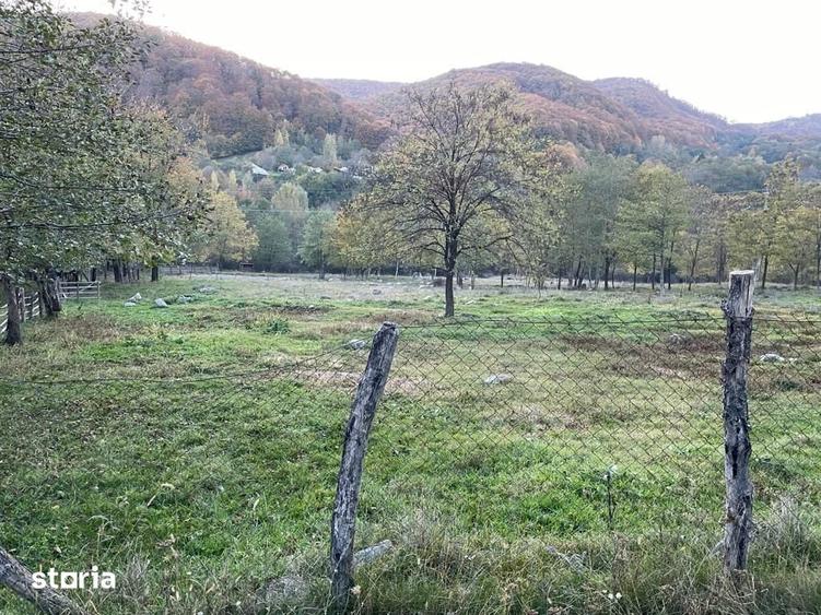 Teren de 13575 mp, în Bradu
