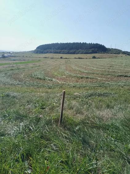 Teren de 8000 mp, în Chinteni