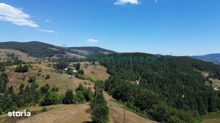 Teren de 16517 mp, în Arieșeni