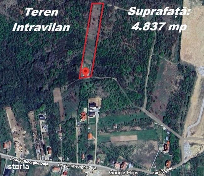 Teren de 4837 mp, în Paleu