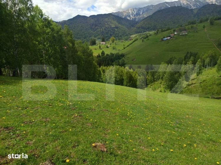 Teren cu fundatie de cabana, intabulat, 1.093 mp Satul Pestera, co - 12