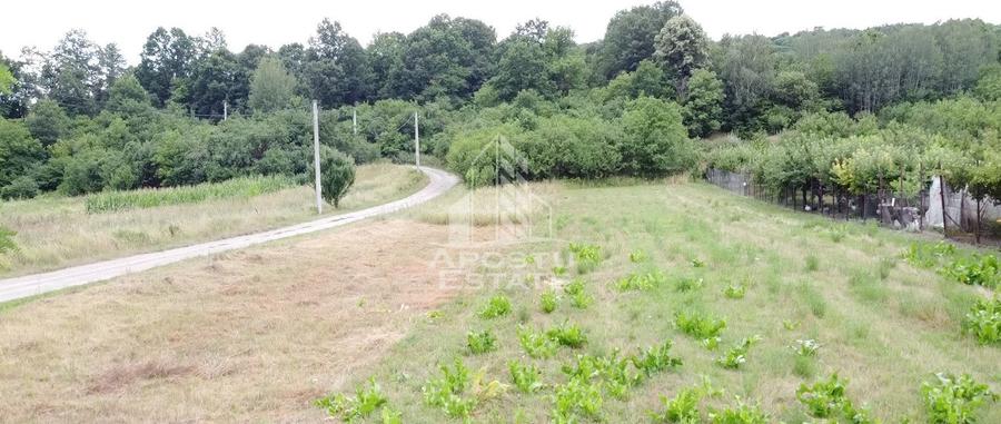 Teren Construcții intravilan de 2605 mp, în Pestișu Mic