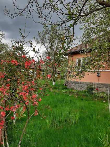 Casă cu 3 camere în Delenii