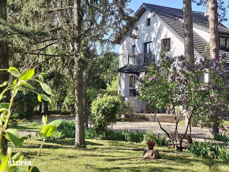Casa cu Pini. Un refugiu in culoarea naturii. - 9