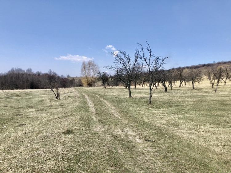 Teren Construcții intravilan de 90000 mp, în Nord