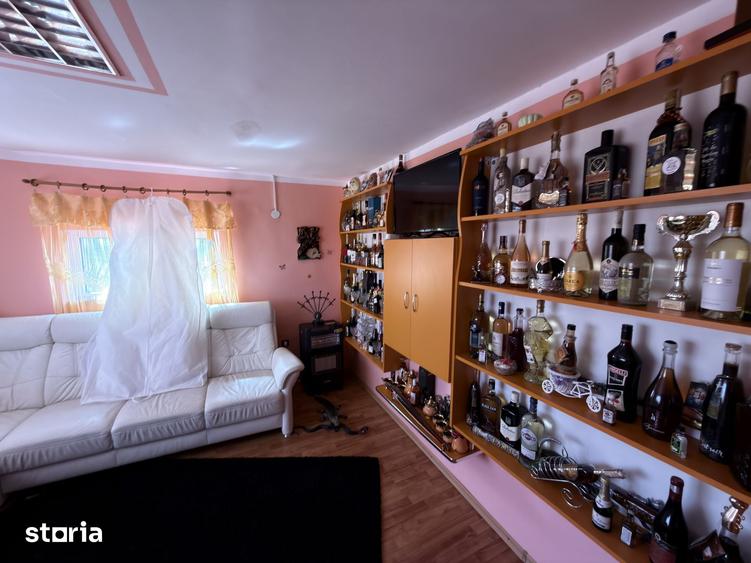 Casă cu 5 camere cu Teren 5000 Mp în Mihai Eminescu
