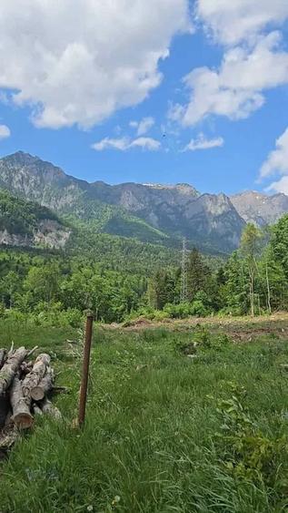 Teren Construcții intravilan de 1000 mp, în Cumpătu