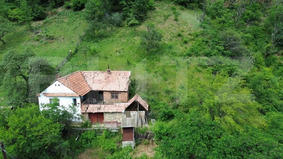 Casă cu Teren 1343 Mp în Căpâlna