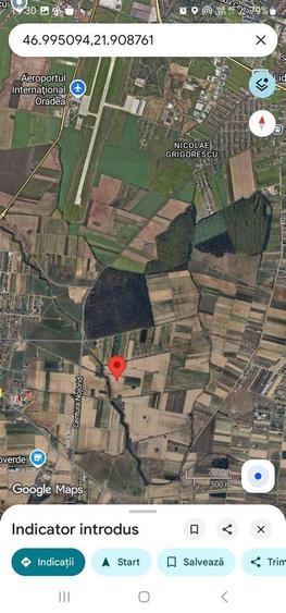 Teren de 11000 mp, în Nojorid
