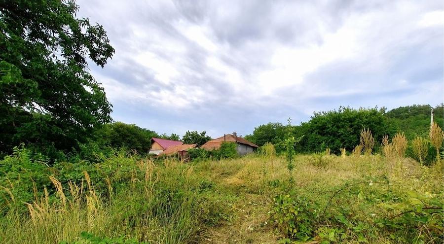 Casă cu 4 camere cu Teren 5361 Mp în Homești