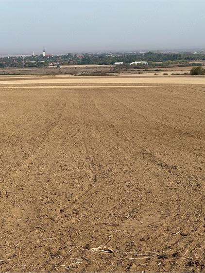 Teren de 10000 mp, în Paleu