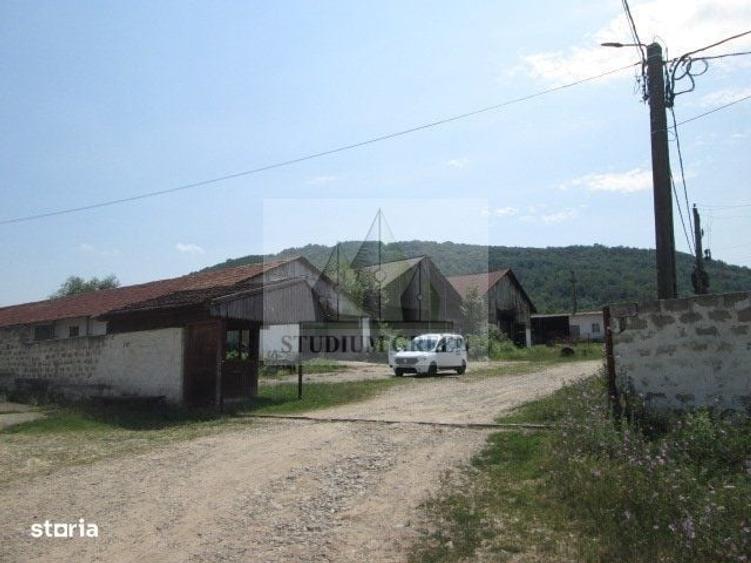 Spațiu comercial, în Șopotu Vechi