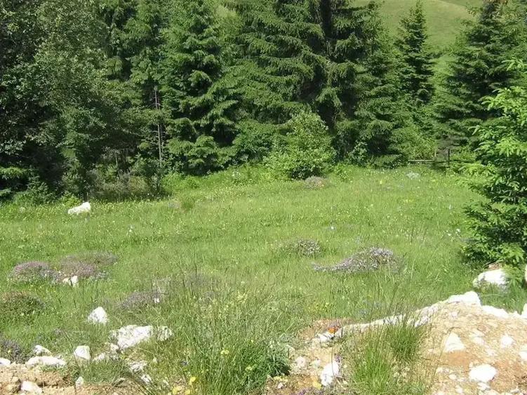 Teren intravilan de 10238 mp, în Fundățica