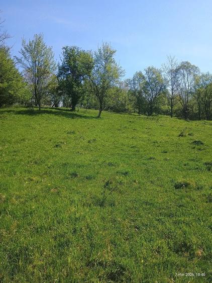 Teren de 10000 mp, în Bughea de Sus