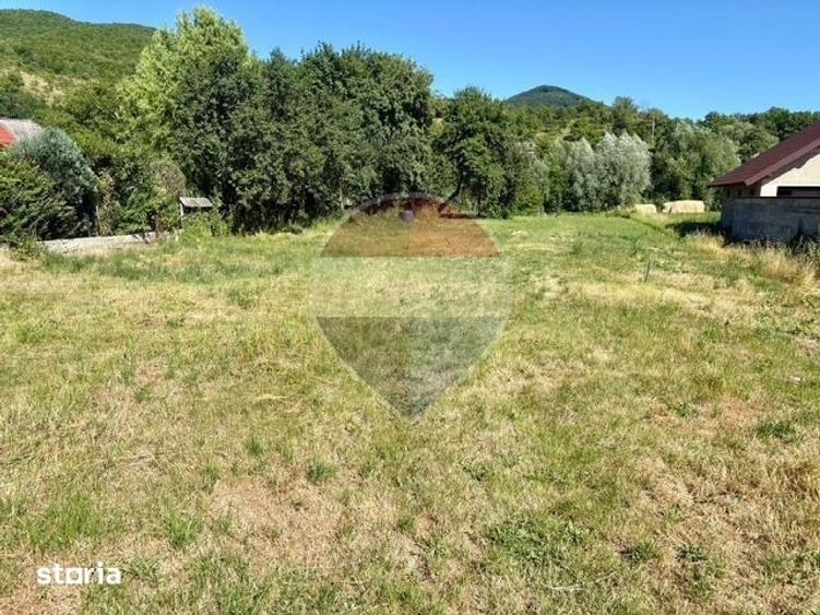 Teren de 3154 mp, în Bârsana