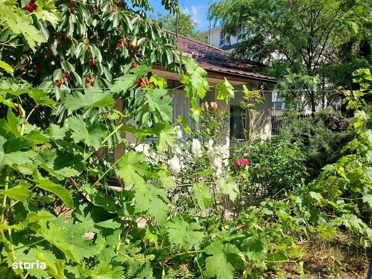 Casă cu 4 camere în Sud