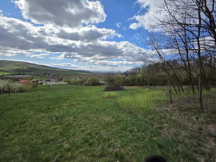 Teren de 5000 mp, în Bârsău