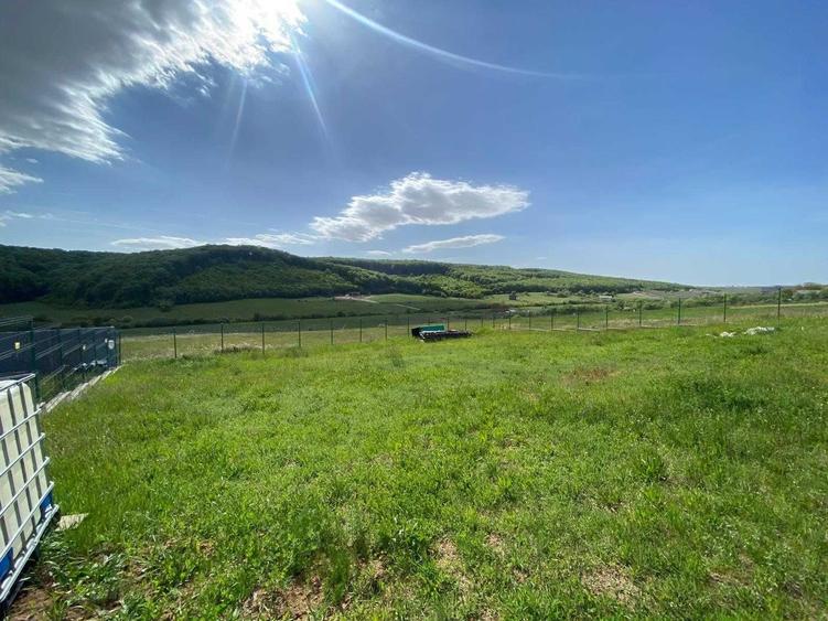 Teren de 642 mp, în Betfia