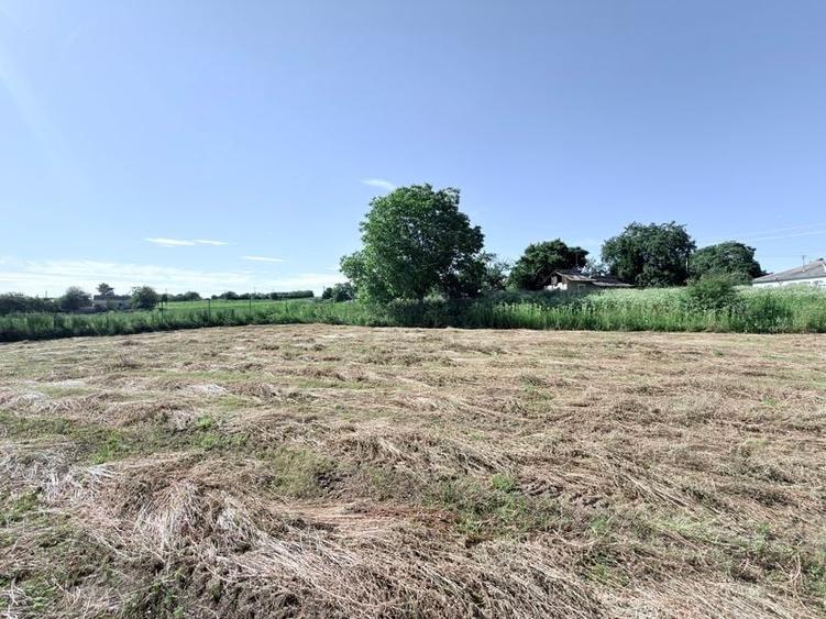 Casă individuală cu 2 camere cu Teren 3600 Mp în Central