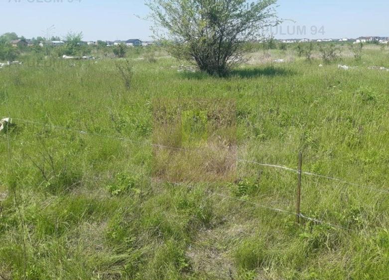Teren Construcții intravilan de 29000 mp, în Est