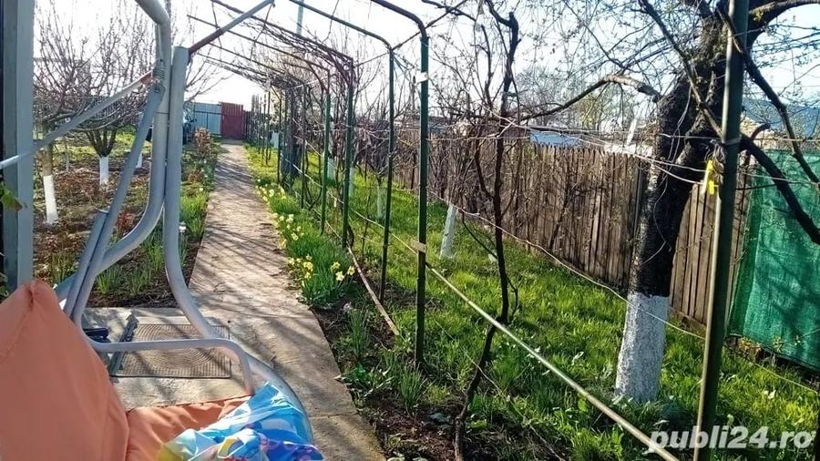 Casă cu 1 camere cu Teren 2036 Mp în Cotorca