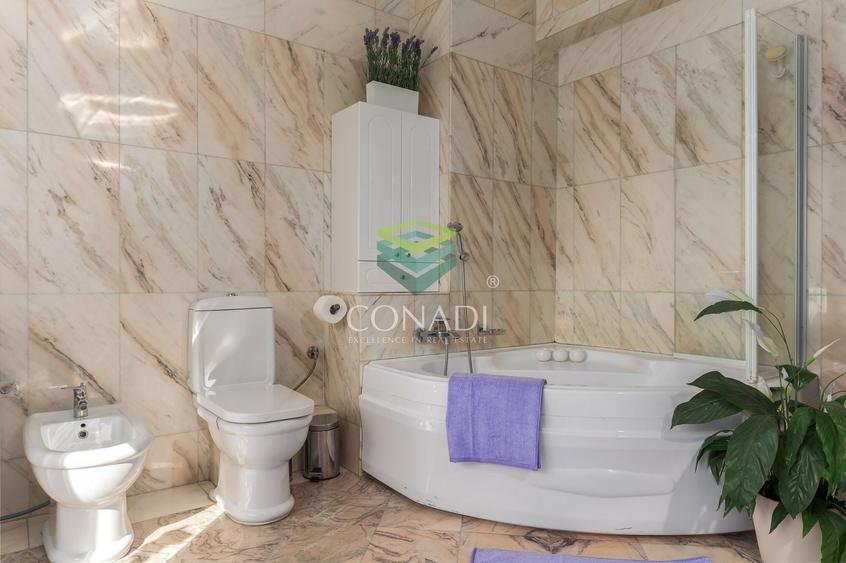 Casă individuală cu 5 camere cu Canalizare în Barbu Văcărescu
