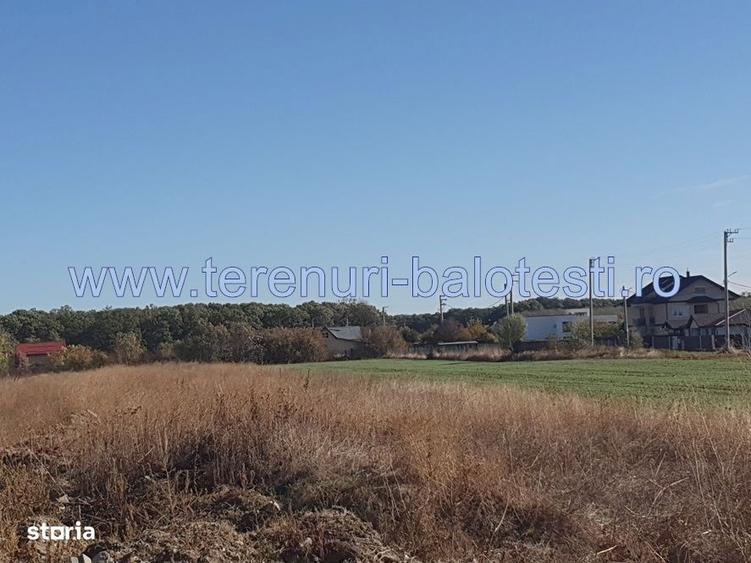 Vanzare teren langa padure,drum amenajat,case noi ,620 mp,26500 E - 11