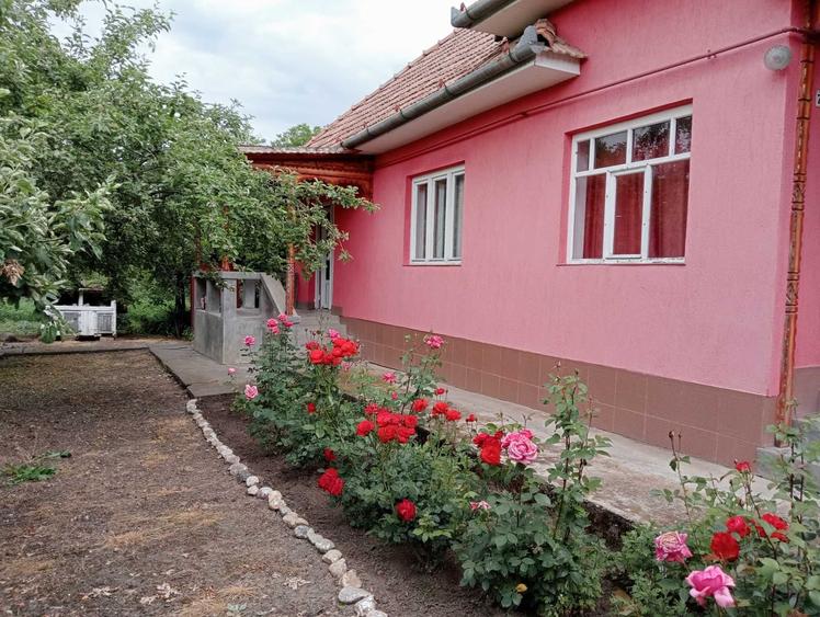Casă cu 3 camere în Cecălaca