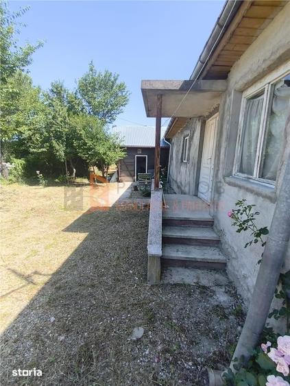Casă cu 3 camere cu Teren 4859 Mp în Unguriu