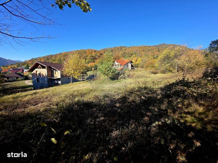 Casă cu 4 camere în Viișoara