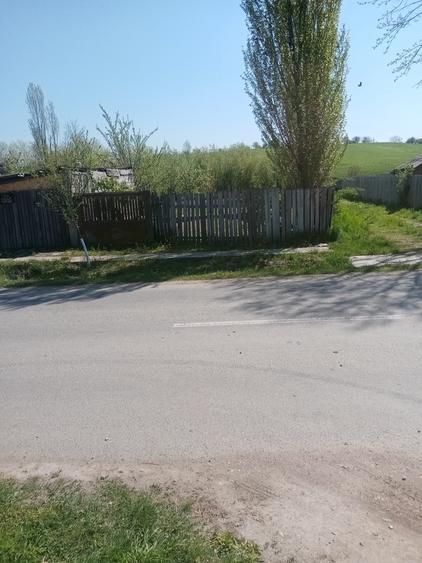 Teren de 700 mp, în Băcălești