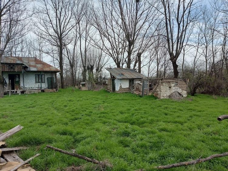 Teren de 2137 mp, în Șerbănești (Rociu)