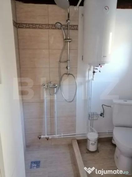 Casă cu 5 camere cu Teren 48000 Mp în Glodghilești