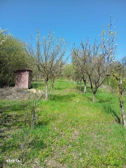Teren de 1700 mp, în Săndulești