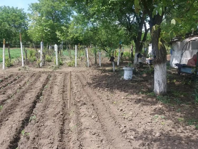 Teren de 3400 mp, în Central